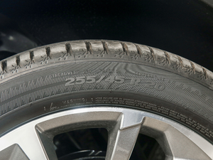 2020390T ԄF 7 ݆̥ߴ