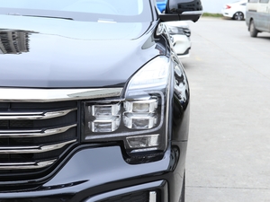 2020390T (q)A(lin)o(j) 