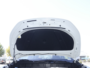 2021POWER 235T քӄſ 