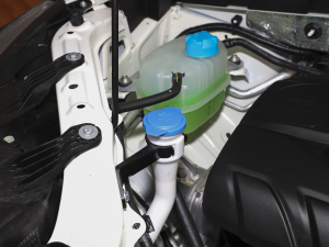 2021POWER 270T Ԅӄˬ 