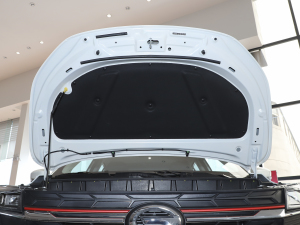 2021POWER 270T Ԅӄˬ 