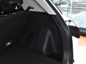 2021POWER 270T Ԅ(dng)ſ g