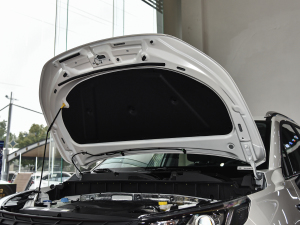 2021POWER 270T Ԅӄſ l(f)әCœ