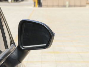 2021PRO 270T DCT (ji)^