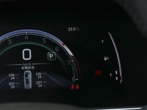 2021PRO 270T DCT п؅^(q)