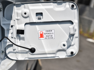 2021RPO 270T DCTӢ ^