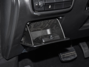 2021RPO 270T DCTӢ g