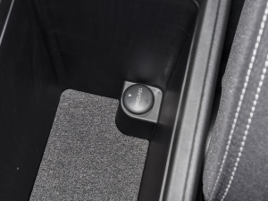 2021RPO 270T DCTӢ g