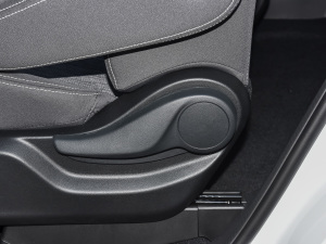 2021RPO 270T DCTӢ g