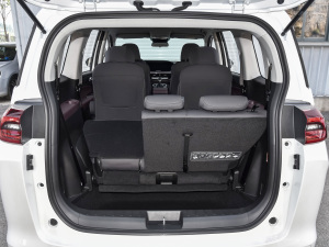 2021RPO 270T DCTӢ g