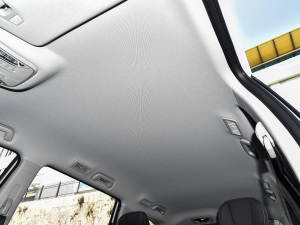 2021RPO 270T DCTӢ п؅^(q)