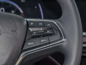 2021RPO 270T DCTӢ п؅^(q)