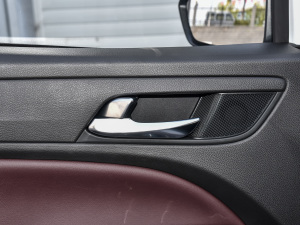 2021RPO 270T DCTӢ п؅^