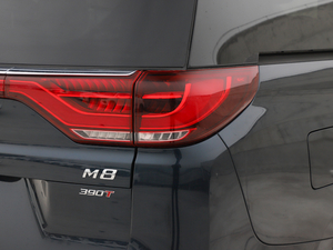 2021Iϵ 390T F (ji)^