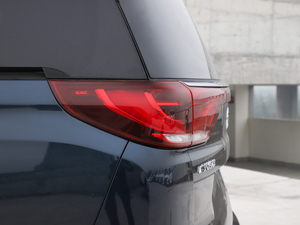 2021Iϵ 390T F (ji)^