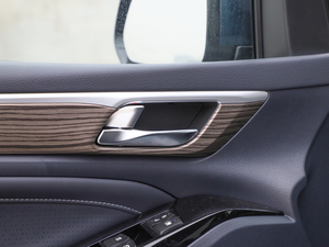 2021I(lng)ϵ 390T F g