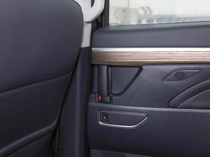 2021I(lng)ϵ 390T F g