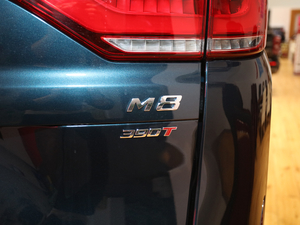 2021款领秀系列 390T 尊享版 细节外观
