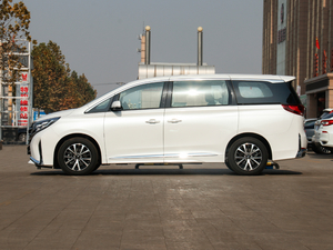 2021款领秀系列 390T 豪华版 正侧（左）