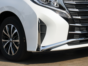 2021I(lng)ϵ 390T A (ji)^