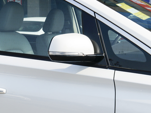 2021I(lng)ϵ 390T A (ji)^