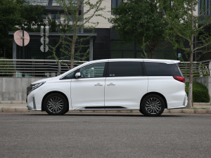 2021款大师系列 390T 至尊版 正侧（左）