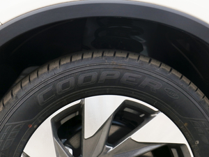 2021270T ԄӃ ݆̥Ʒ