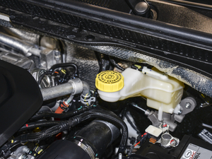 2021270T ԄӺA(lin) 