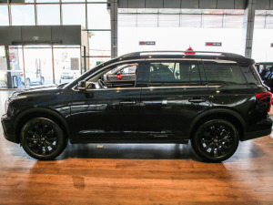 2021390T (q)ҹTʿ (c)