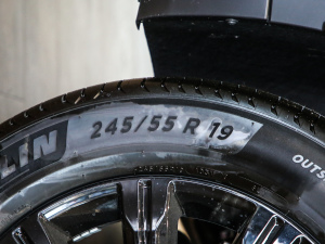 2021390T 򌰵ҹTʿ ݆̥ߴ