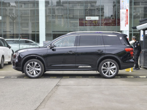 2021390T (q)A(lin)v (c)