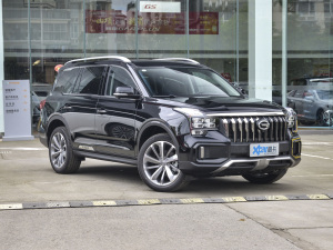 2021390T (q)A(lin)v w^