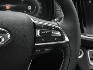 2021390T (q)A(lin)v п؅^(q)