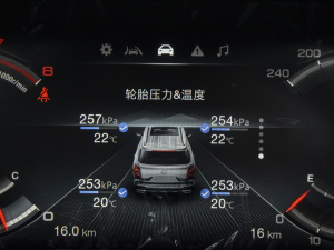 2021390T (q)A(lin)v п؅^(q)