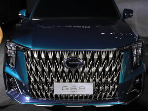 2022pϵ 2.0TM F  оW