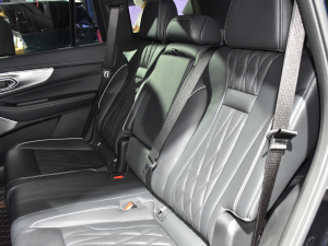 2022I(lng)ϵ 2.0TGDI (q)F  g