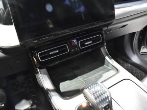 2022Iϵ 2.0TGDI F  g