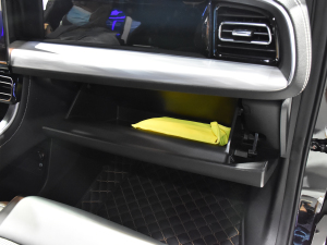 2022I(lng)ϵ 2.0TGDI (q)F  g