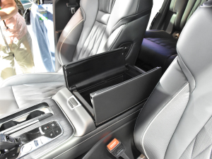 2022I(lng)ϵ 2.0TGDI (q)F  g