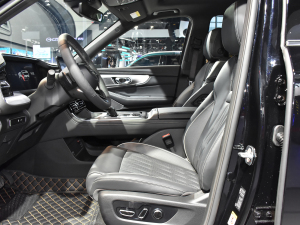 2022I(lng)ϵ 2.0TGDI (q)F  ǰſg