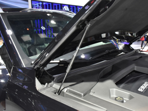 2022I(lng)ϵ 2.0TGDI (q)F  