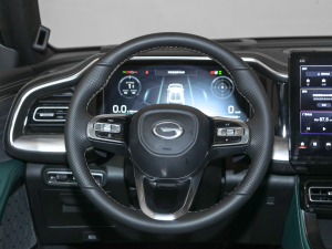 2022I(lng)ϵ 2.0TGDI (q)A(lin)  P(pn)