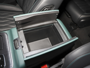 2022I(lng)ϵ 2.0TGDI (q)F  g