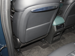 2022I(lng)ϵ 2.0TGDI (q)F  g