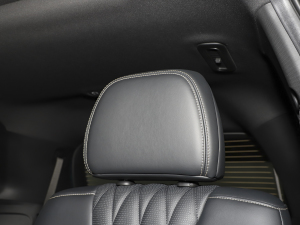 2022I(lng)ϵ 2.0TGDI (q)F  g