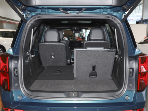 2022I(lng)ϵ 2.0TGDI (q)F  g