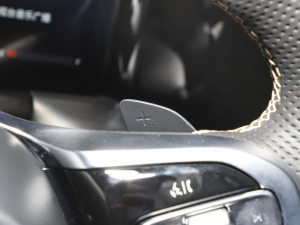 2022I(lng)ϵ 2.0TGDI (q)F  п؅^(q)