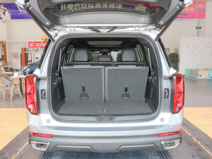 2022I(lng)ϵ 2.0TGDI (q)A(lin)  g