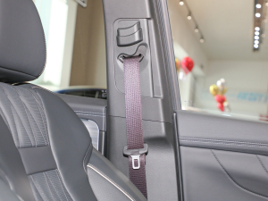 2022I(lng)ϵ 2.0TGDI (q)A(lin)  g