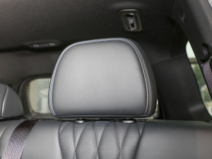 2022I(lng)ϵ 2.0TGDI (q)A(lin)  g